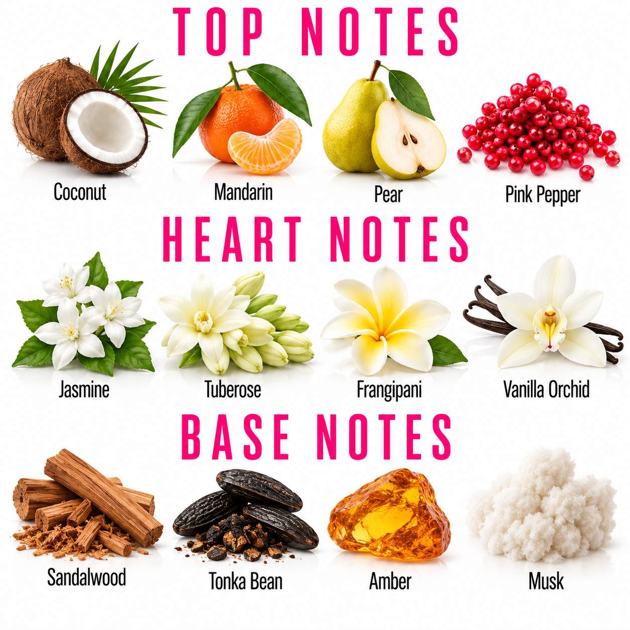 A botanical fragrance notes chart showing top, heart, and base notes with labeled ingredients: coconut, mandarin, pear, pink pepper, jasmine, tuberose, frangipani, vanilla orchid, sandalwood, tonka bean, amber, and musk.