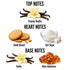 A fragrance notes graphic on a white background with labeled sections: Top Notes, Heart Notes, and Base Notes. Visual ingredients include vanilla flowers and beans, sweet biscuit cookies, soft sugar in a small glass bowl, and warm amber sweetness crystals.