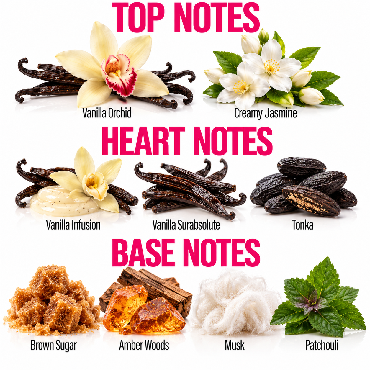 A fragrance notes graphic with the headings TOP NOTES, HEART NOTES, and BASE NOTES. Top notes include vanilla orchid, creamy jasmine, vanilla infusion, vanilla surabsolute, and tonka.