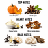 A fragrance notes graphic on a white background with three labeled sections: Top Notes, Heart Notes, and Base Notes. The top notes include Sweet Pumpkin, Gentle Spice, Creamy Vanilla, and Warm Autumn Spices.