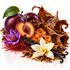 A styled still life of natural ingredients on a white background, including dark purple plums, a halved plum, dried brown leaves, vanilla beans, amber resin, red threads, a purple flower, and a white orchid.