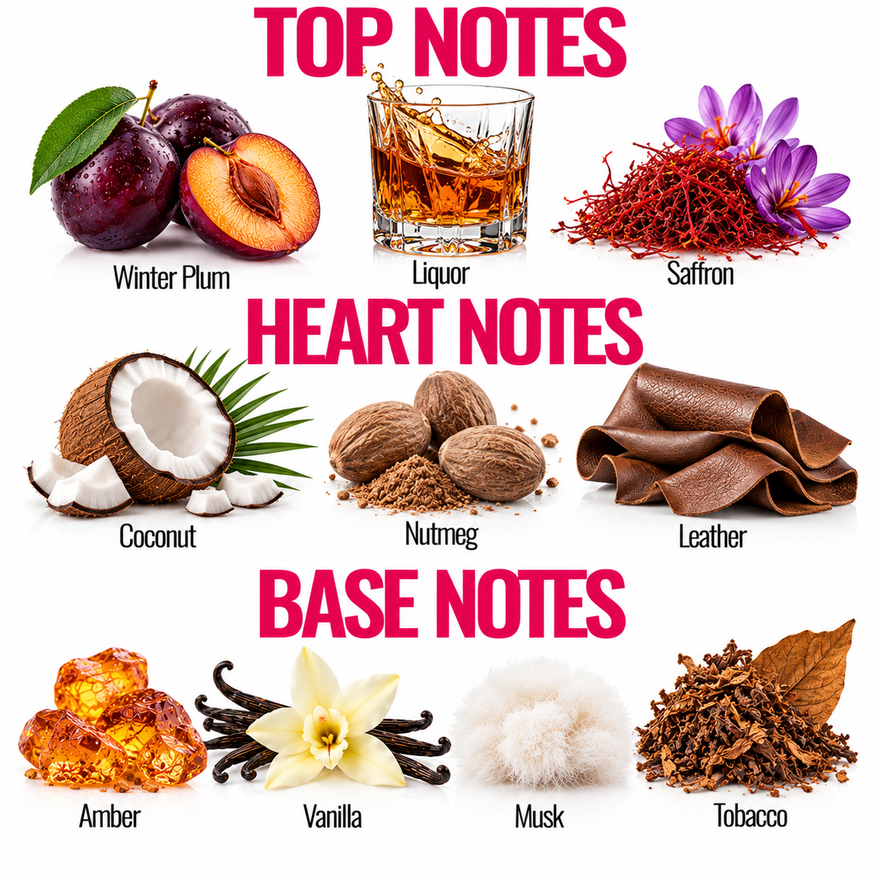A fragrance notes graphic with the headings TOP NOTES, HEART NOTES, and BASE NOTES. The top notes include Winter Plum, Liquor, Saffron, Coconut, Nutmeg, and Leather.