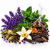 A styled arrangement of whole spices and herbs on a white reflective surface, including purple lavender flowers, green mint leaves, vanilla beans, cardamom pods, black peppercorns, amber resin, and a white flower with a yellow center.