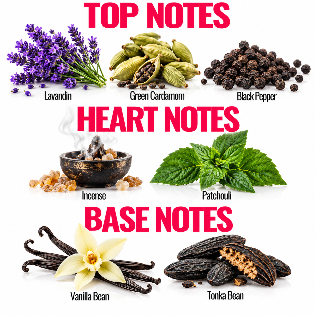 A fragrance notes graphic on a white background with red text reading TOP NOTES, HEART NOTES, and BASE NOTES. Lavandin, green cardamom, and black pepper appear under Top Notes; incense, patchouli, vanilla bean, and tonka bean appear under Base Notes.
