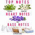 A fragrance notes graphic titled 'TOP NOTES HEART NOTES BASE NOTES' on a white background. It shows botanical illustrations and scent examples: 'Crisp Greens,' 'Orange Flower,' 'Violet,' and 'Just-Washed Laundry' with white towels and a basket of laundry at the bottom.