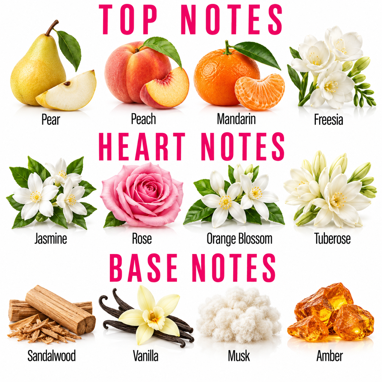 A fragrance notes chart titled 'TOP NOTES', 'HEART NOTES', and 'BASE NOTES' with illustrated ingredients: pear, peach, mandarin, freesia, jasmine flowers, rose, orange blossom, tuberose, sandalwood, vanilla, musk, and amber. This is not a photo of a single physical product in use, and it functions as informational artwork about scent notes rather than a clean product shot, so subject_type is Instruction Diagram rather than Product/Packaging or Color Swatch.