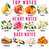 A fragrance notes chart titled 'TOP NOTES', 'HEART NOTES', and 'BASE NOTES' with illustrated ingredients: pear, peach, mandarin, freesia, jasmine flowers, rose, orange blossom, tuberose, sandalwood, vanilla, musk, and amber. This is not a photo of a single physical product in use, and it functions as informational artwork about scent notes rather than a clean product shot, so subject_type is Instruction Diagram rather than Product/Packaging or Color Swatch.