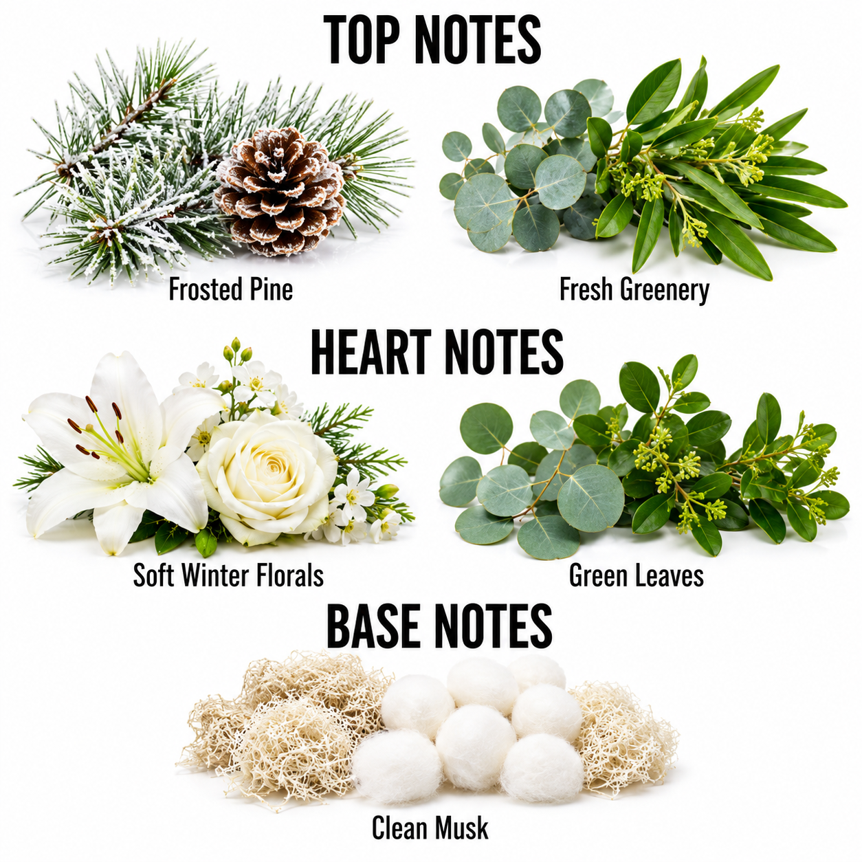 A fragrance notes graphic on a white background showing floral and botanical elements labeled for a scent profile: Frozen Pine, Fresh Greenery, Soft Winter Florals, Green Leaves, and Clean Musk. The top section is labeled TOP NOTES, the middle Heart Notes, and the bottom Base Notes.