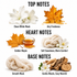A fragrance notes graphic on a white background with labeled sections for Top Notes, Heart Notes, and Base Notes. Top Notes include White Flowers and an amber maple leaf labeled Airy Freshness.