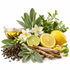 A styled botanical arrangement of loose-leaf herbal tea ingredients on a white background, including a glass cup of pale golden tea, dried tea leaves, cinnamon sticks, green sage leaves, white flowers, lime halves, a whole lemon, and lime zest.