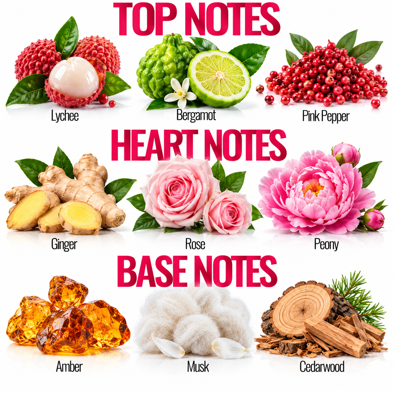 A botanical fragrance notes chart on a white background, categorized into Top Notes, Heart Notes, and Base Notes. The top notes include lychee, bergamot, and pink pepper.