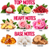 A botanical fragrance notes chart on a white background, categorized into Top Notes, Heart Notes, and Base Notes. The top notes include lychee, bergamot, and pink pepper.