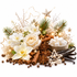 A festive holiday floral and spice arrangement on a white background, featuring white flowers, green pine branches, cinnamon sticks, star-shaped ornaments, vanilla pods, cloves, and a small bowl of sugar cubes.