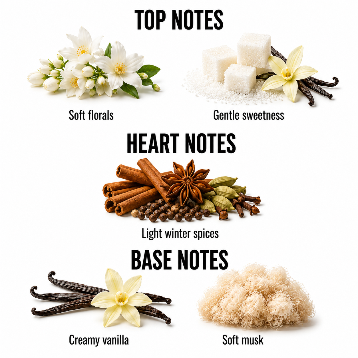 A fragrance notes graphic on a white background showing top, heart, and base notes with illustrated ingredients: soft florals, gentle sweetness, cinnamon sticks, star anise, cardamom, peppercorns, vanilla beans, creamy vanilla, and soft musk.