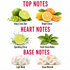 A fragrance notes graphic on a white background with red headers reading TOP NOTES, HEART NOTES, and BASE NOTES. Top notes show sharp lime zest, bright citrus, sparkling citrus, and fresh clean notes with fruit and leaf illustrations.