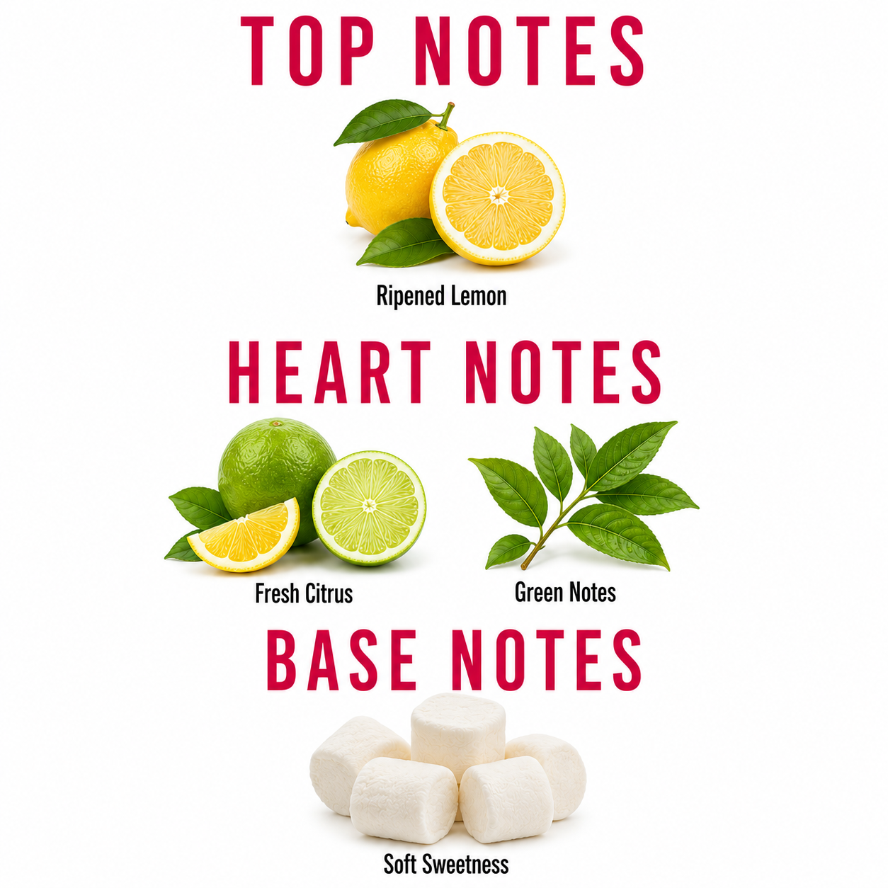 A fragrance notes graphic on a white background with red text reading 'TOP NOTES', 'HEART NOTES', and 'BASE NOTES'. Top notes show ripened lemons and green leaves.
